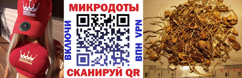 Галлюциногенные грибы GOLDEN TEACHER  Балей 